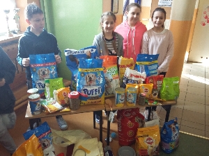 Załączone zdjęcie  