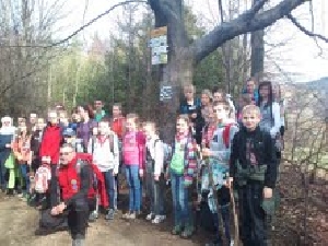 Załączone zdjęcie  