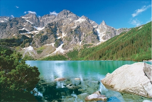 Załączone zdjęcie  