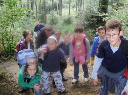 Załączone zdjęcie  