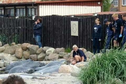 Załączone zdjęcie  